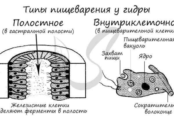 Кракен купить наркоту