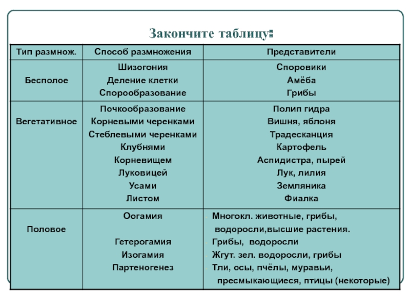 Дарк маркетплейс кракен
