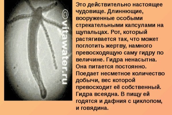 Кракен маркетплейс ссылка