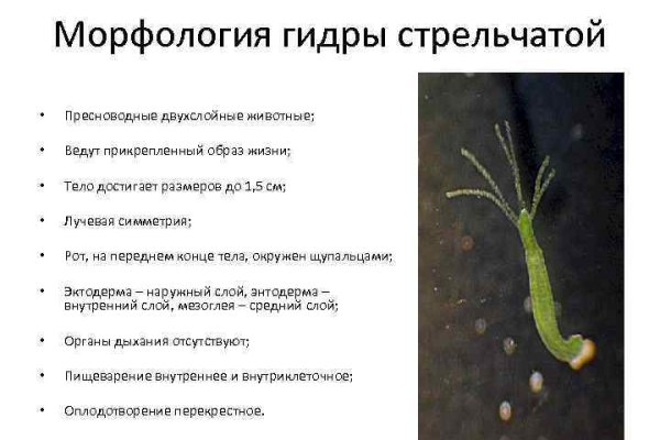 Кракен маркет kr2web in