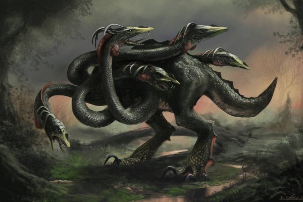 Kraken17at