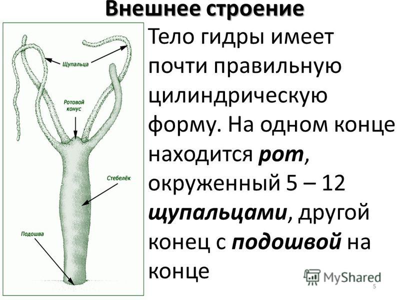 Кракен площадка что это